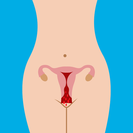 Hormonelle Faktoren und deren Einfluss