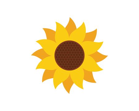Wirksamkeit und Schutz: Wissenschaftliche Bewertung natürlicher UV-Filter