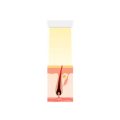 Die Bedeutung von Siegeln und Zertifikaten für nachhaltige Beauty-Produkte in Deutschland