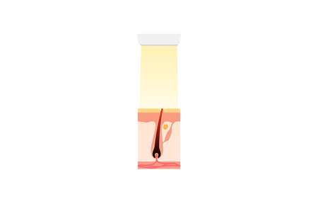 Die Bedeutung von Siegeln und Zertifikaten für nachhaltige Beauty-Produkte in Deutschland