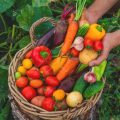 Die besten veganen Make-up-Brands auf dem deutschen Markt 2025