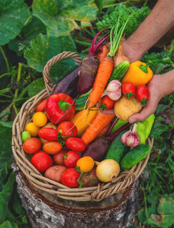 Die besten veganen Make-up-Brands auf dem deutschen Markt 2025