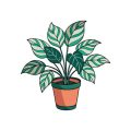 Von der Plantage ins Badezimmer: Die Lieferkette von Palmöl und warum wir Alternativen brauchen
