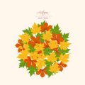 Herbstliche Gesichtsmasken zum Selbermachen mit heimischen Obst- und Gemüsesorten
