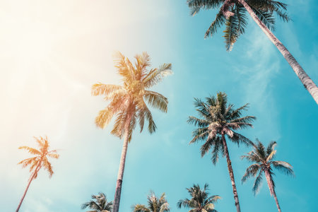 Palmölfreie Pflege im Einklang mit veganem Lifestyle: So gelingt der Umstieg in Deutschland