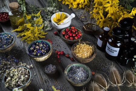 Fermentierte Zutaten im Peeling: Neue Trends in der deutschen Naturkosmetik